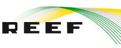 REEF personeelsfeest georganiseerd