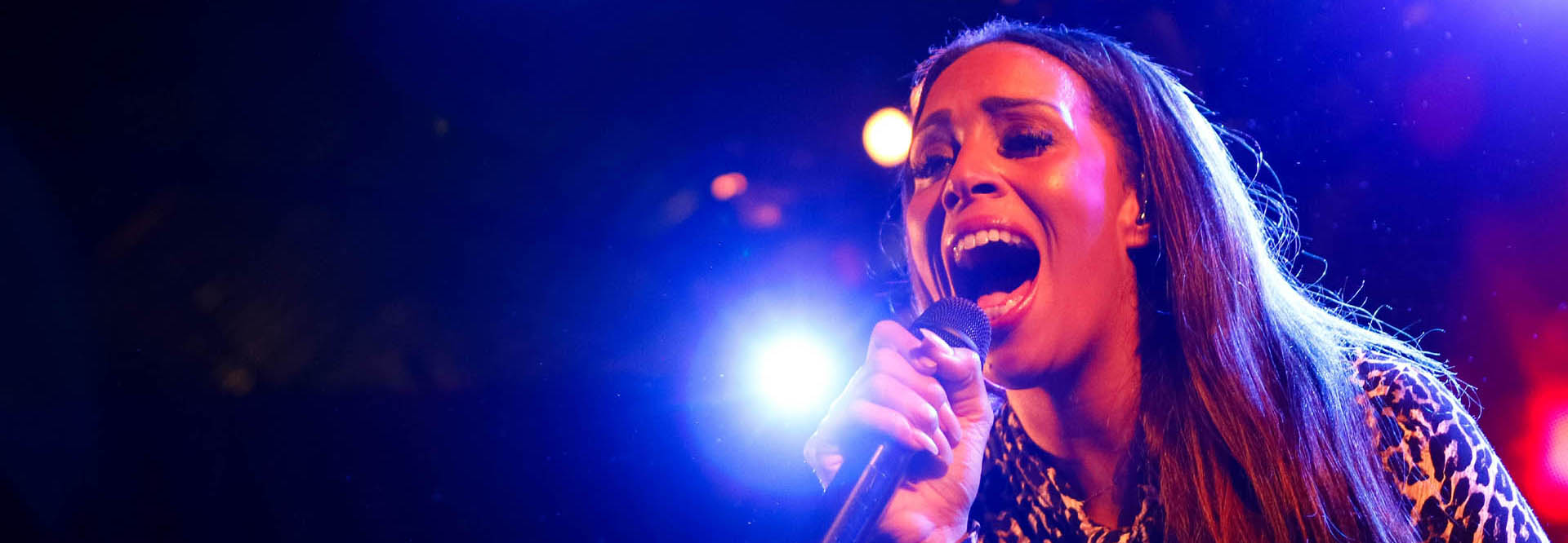 bedrijfsfeest-artiesten-organiseren Personeelsfeest met artiesten