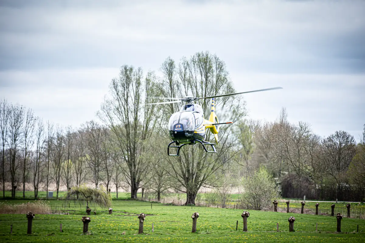 Jubileum event 30 jaar bestaan Emma Handson