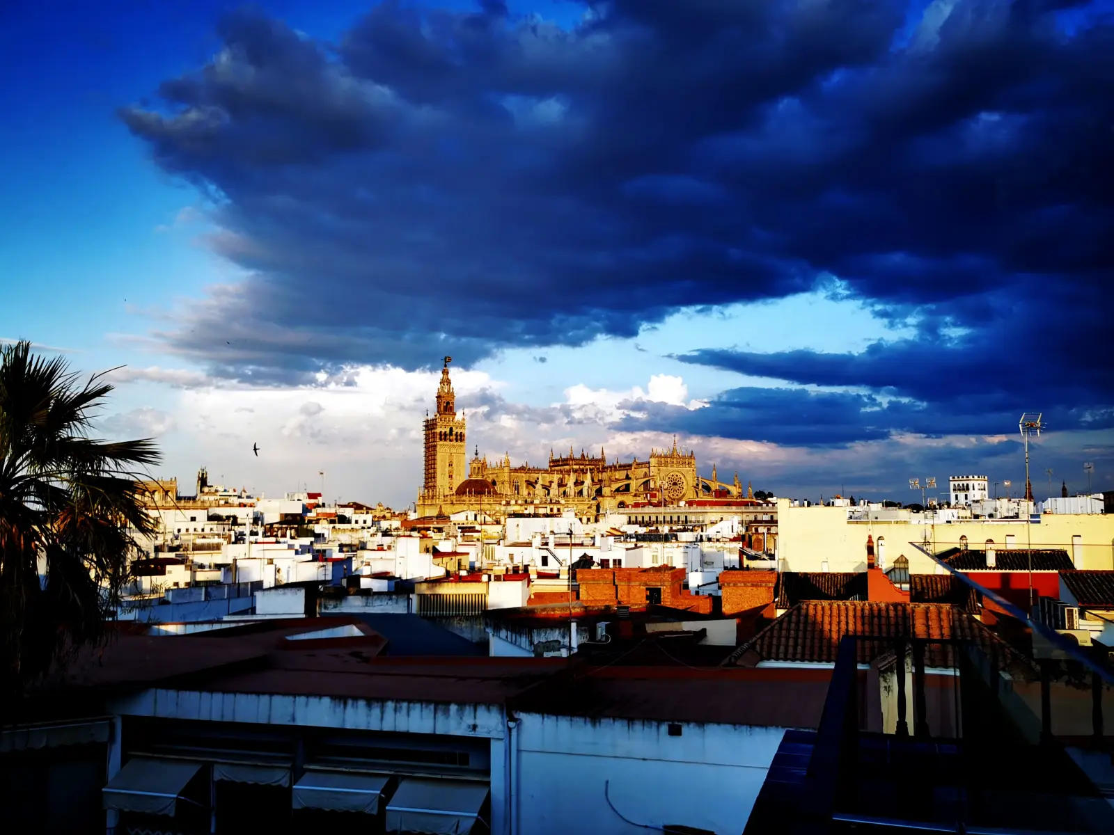 Congres reis Sevilla Congres reis Sevilla