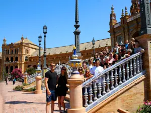 Congres reis Sevilla Vitakruid