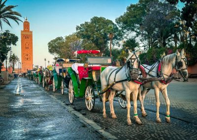 Met de koetsen origineel vervoerd worden door Marrakesh