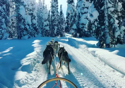 In verschillende groepen trek je de ruwe natuur vol sneeuw in: een oprechte beleving