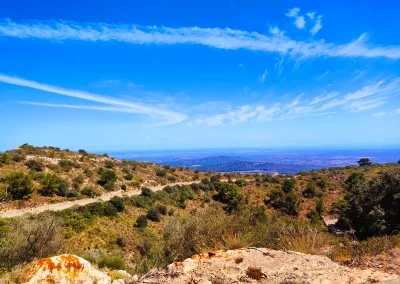 Personeelsreis - Bedrijfsreis - Incentive - Zakelijke groepsreis met bedrijf (bedrijfsuitje) naar Mallorca