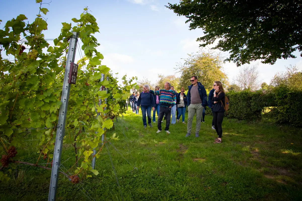 Bedrijfsuitje naar de Ardennen