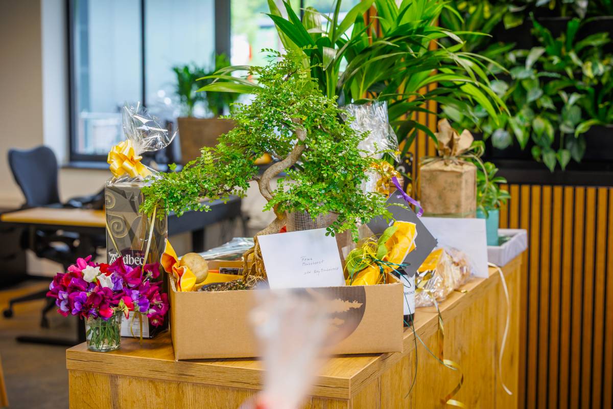 Bedrijfsopening en event ter ere van bedrijfsjubileum op eigen locatie (bedrijf) van Menkehorst Kwekerijen Bedrijfsopening en event ter ere van bedrijfsjubileum op eigen locatie (bedrijf) van Menkehorst Kwekerijen