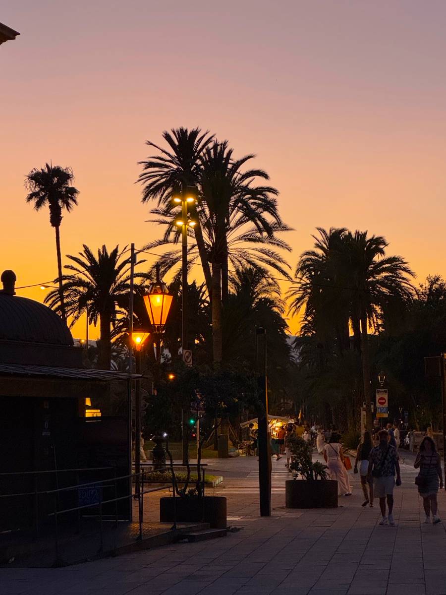 Bedrijfsreis Mallorca als Jubileumweekend Bedrijfsreis Mallorca als Jubileumweekend
