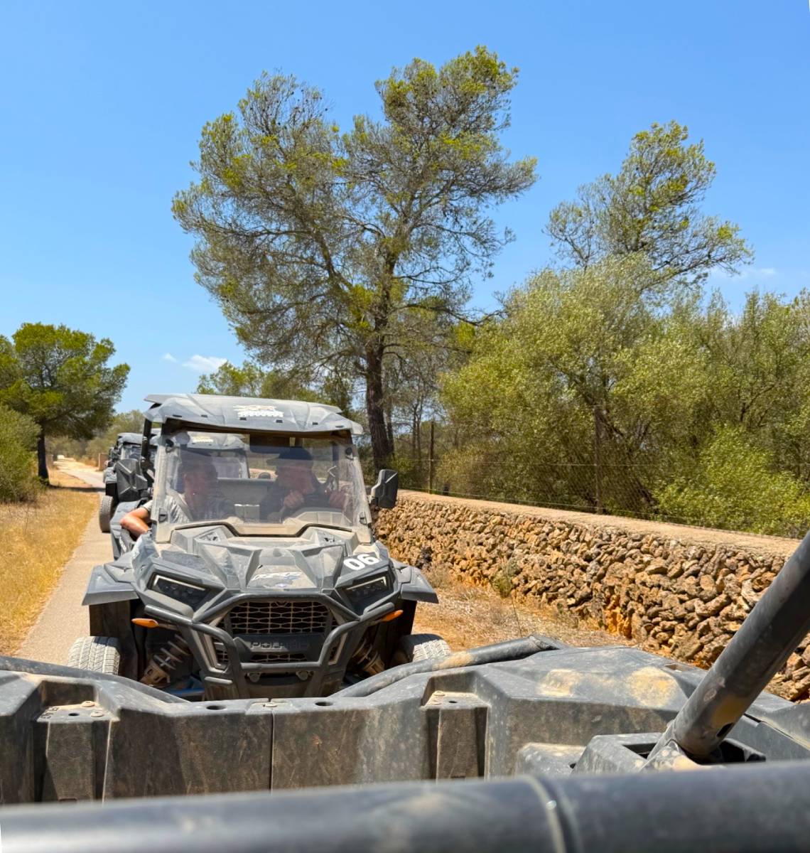 Bedrijfsreis Mallorca als Jubileumweekend Bedrijfsreis Mallorca als Jubileumweekend