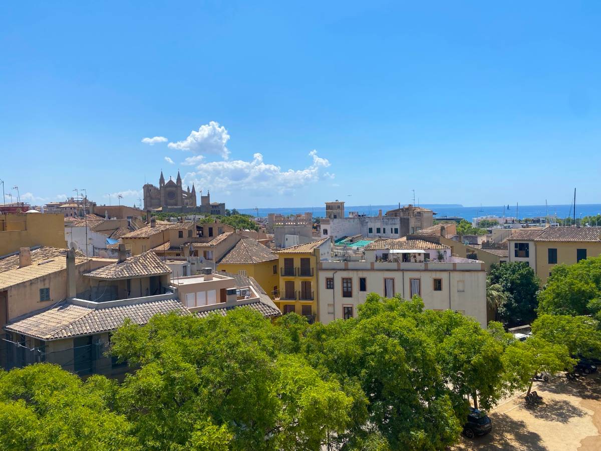 Bedrijfsreis Spanje (Mallorca) Bedrijfsreis Spanje (Mallorca)