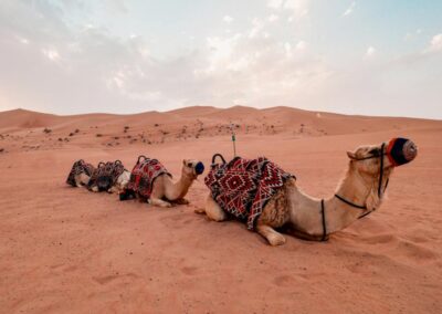 Wij denken met je mee: actief, relaxt of een cultureel Dubai programma?